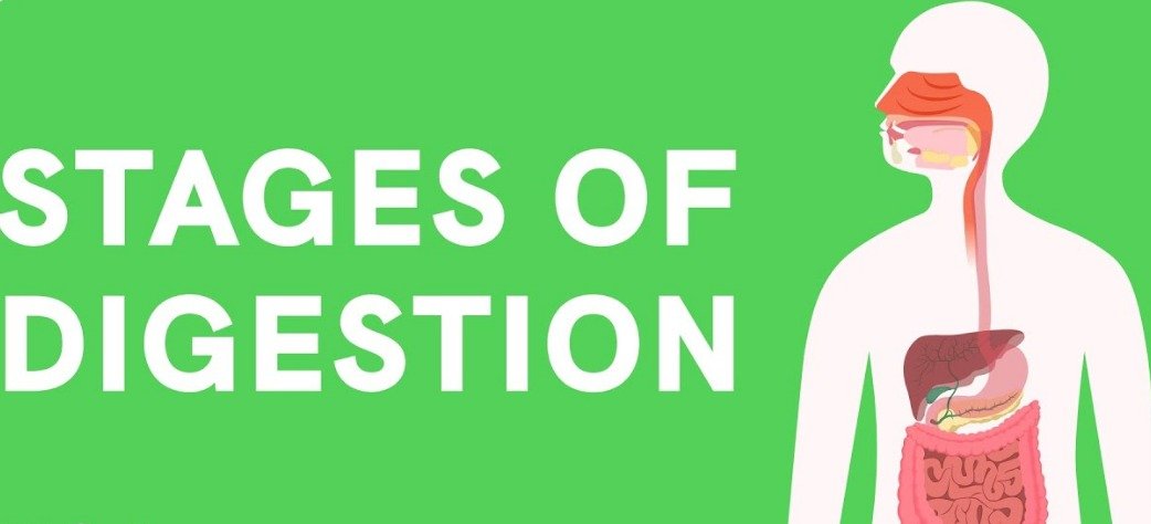 gastroenterologist in Gurgaon